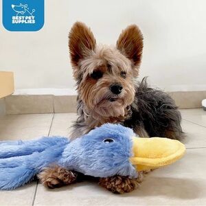 Best Pet Supplies Crinkle Duck Dog Toy